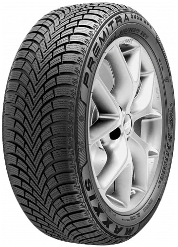 245/40 R17 Maxxis WP6 95V