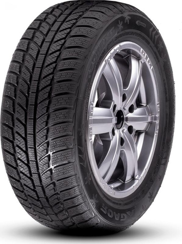 Фото шины 195/45 R16 RoadX RXFROST WH01 84H