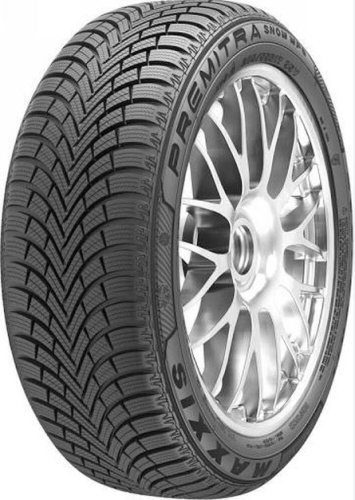 Фото шины 225/55 R16 Maxxis WP6 99H