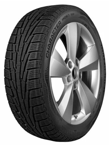 Фото шины 225/45 R19 Ikon Character Snow 2 96T