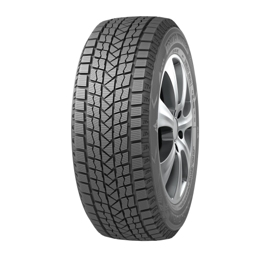 Фото шины 225/45 R19 Duraturn MOZZO WINTER W2 96V
